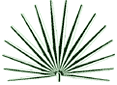 European Palm Society